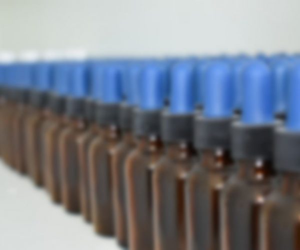 https://bioquimvet.com.mx/wp-content/uploads/2019/08/team-3135096_960_720-600x500.jpg